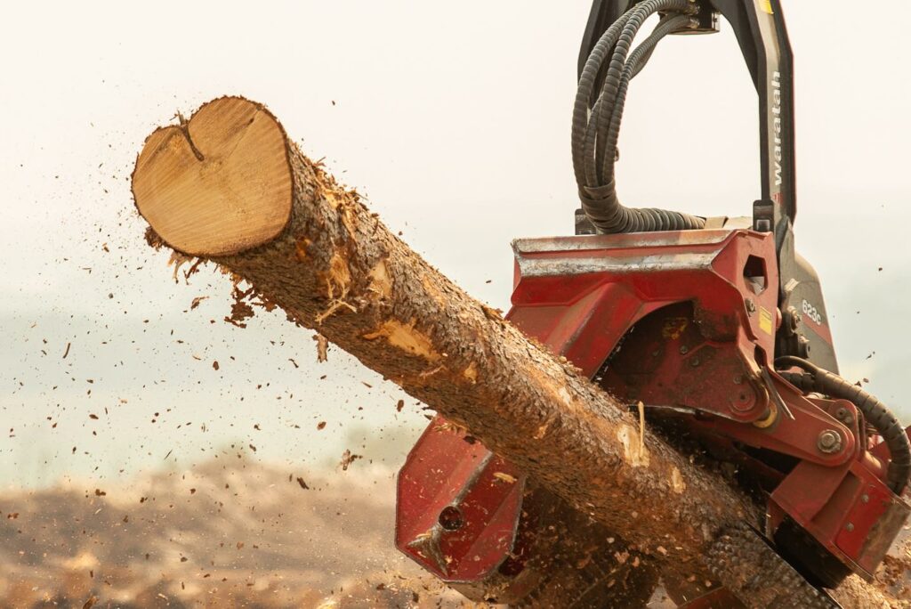 Northern Timber Management Logging & Forestry Services.