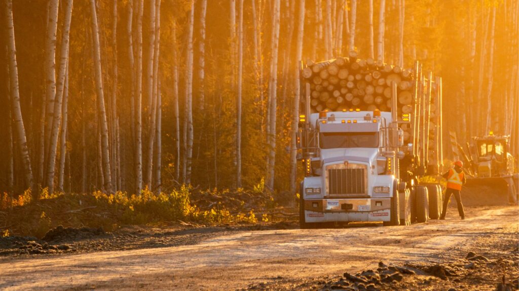 Northern Timber Management Transportation Services.